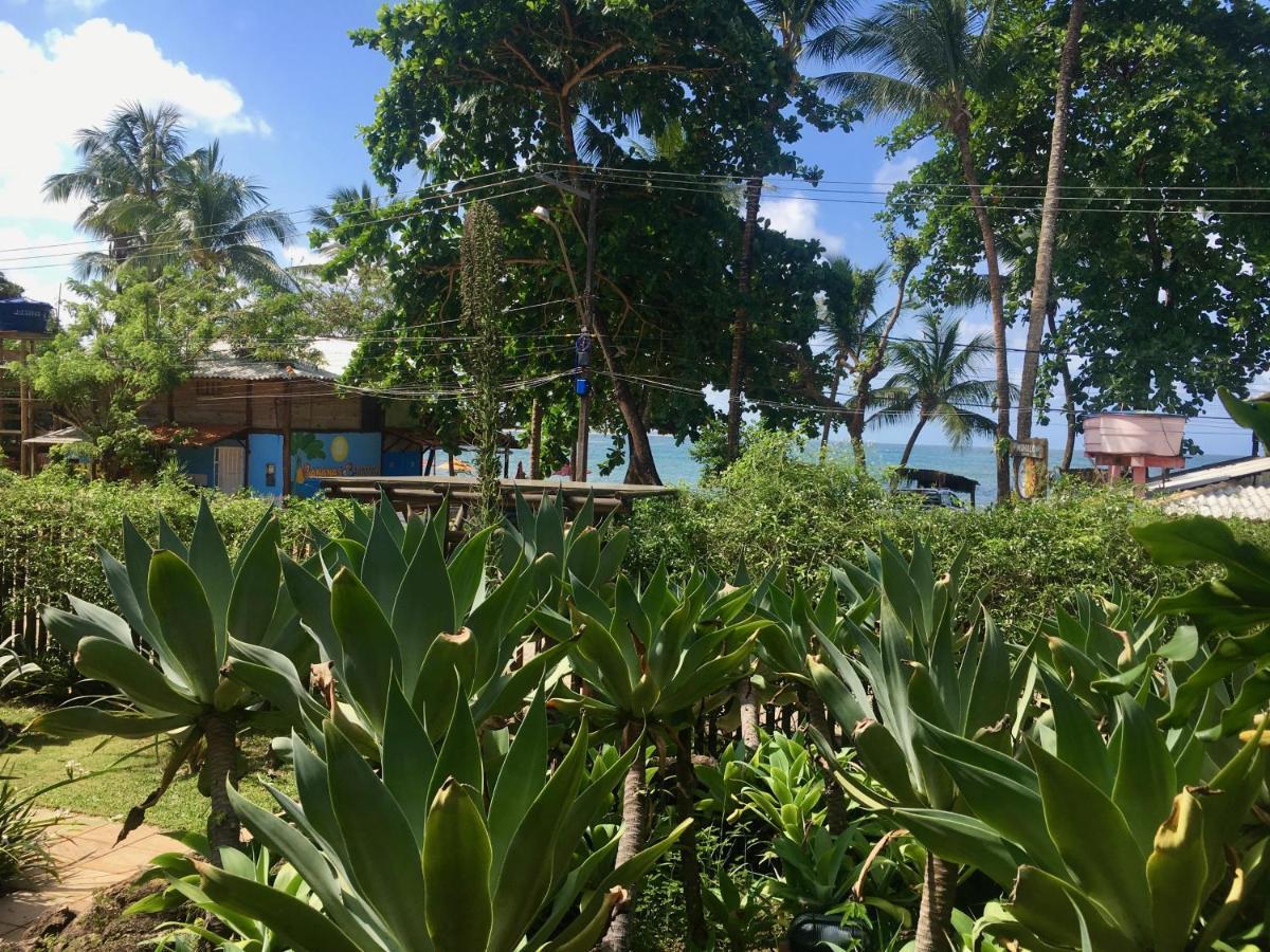 Ferienwohnung Concha Tropical Flat Itacaré Exterior foto
